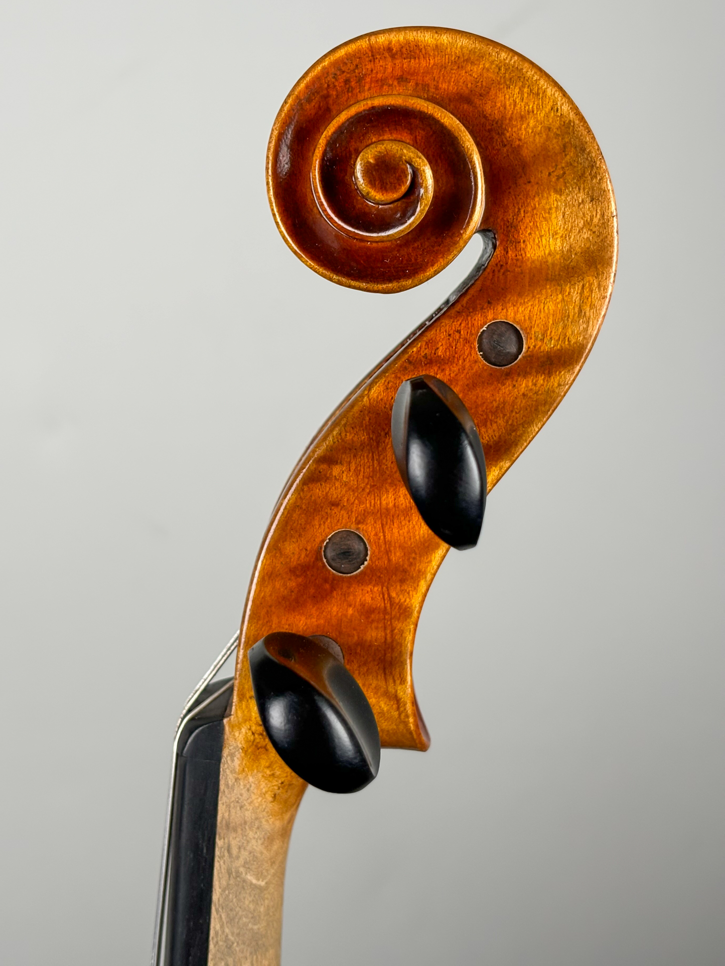 Altos Sainte Cécile - Qualité étude