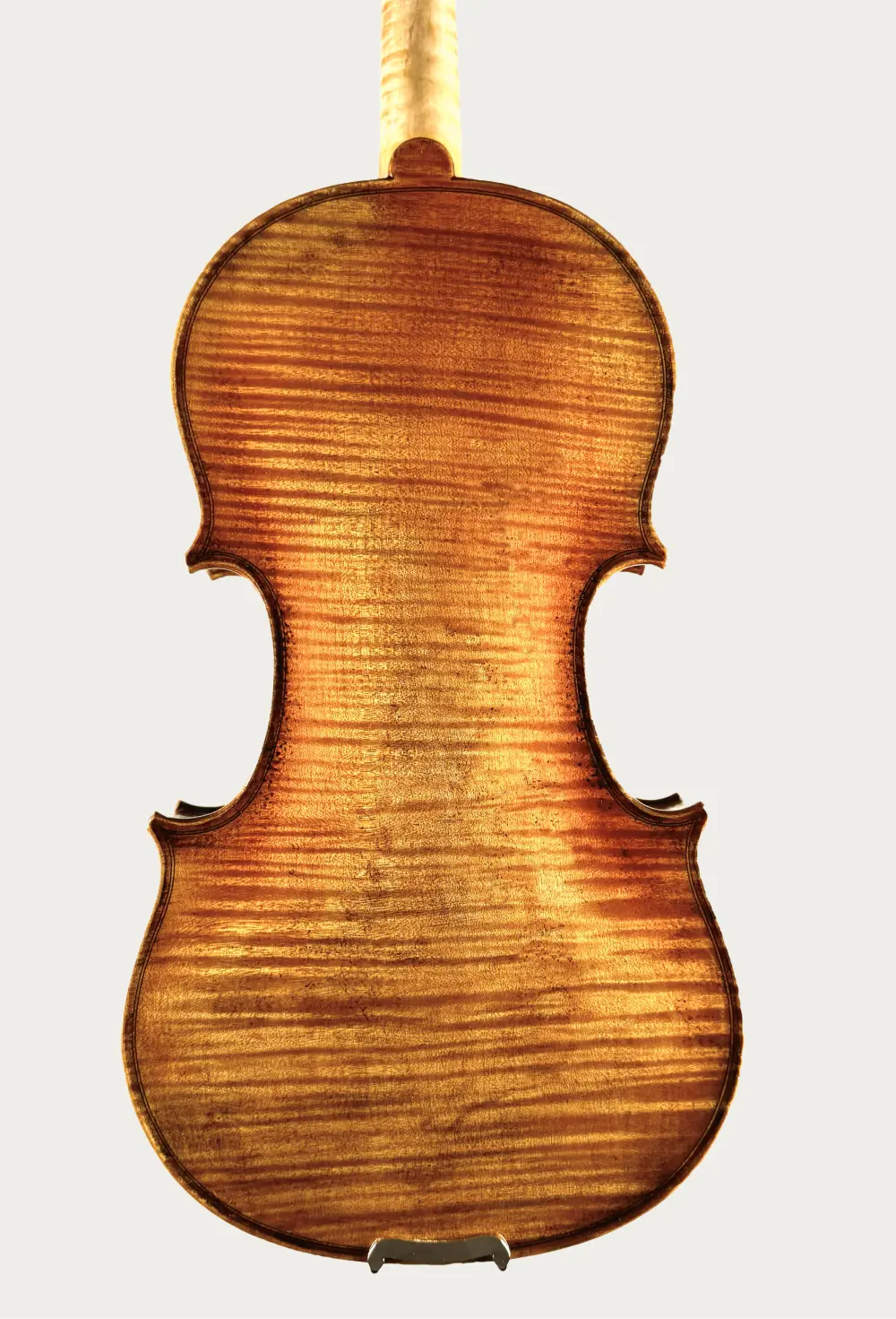 Location : Violons Sainte Cécile - Qualité conservatoire