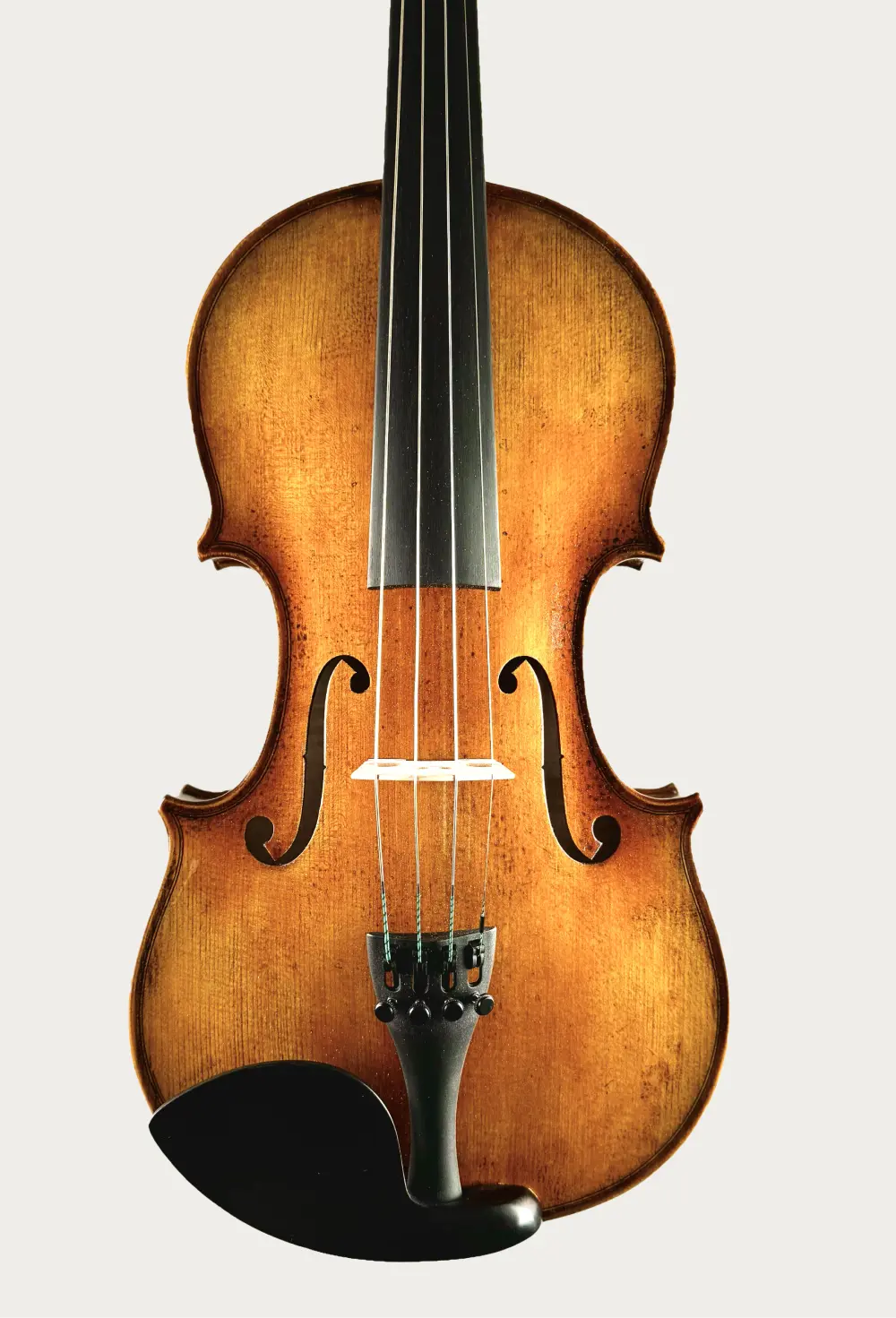 Location : Violons Sainte Cécile - Qualité conservatoire