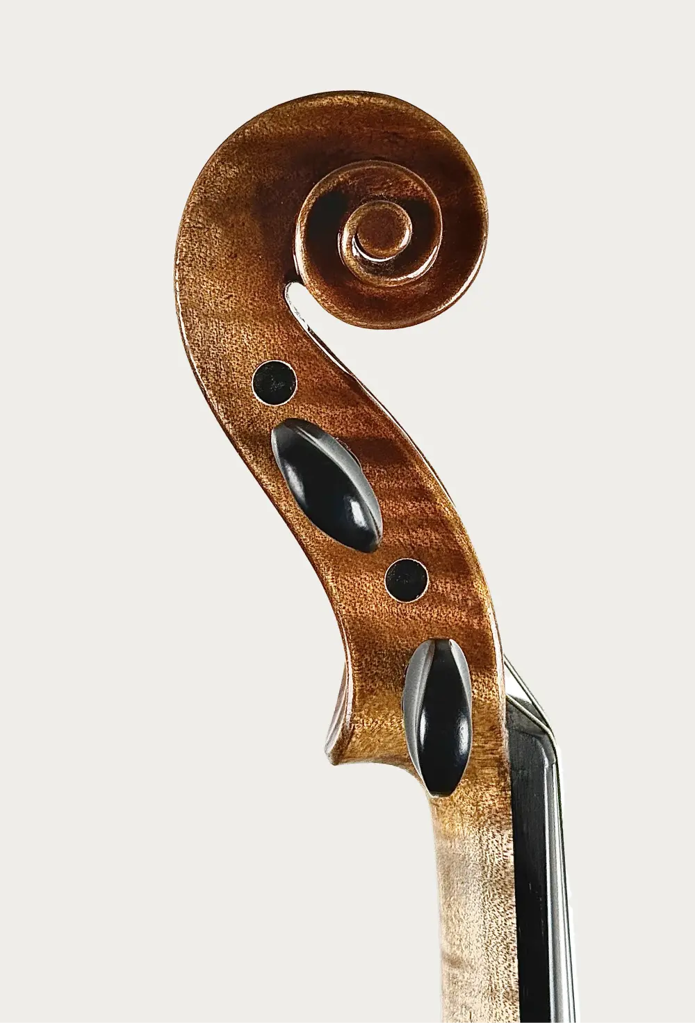 Location : Violons Sainte Cécile - Qualité conservatoire