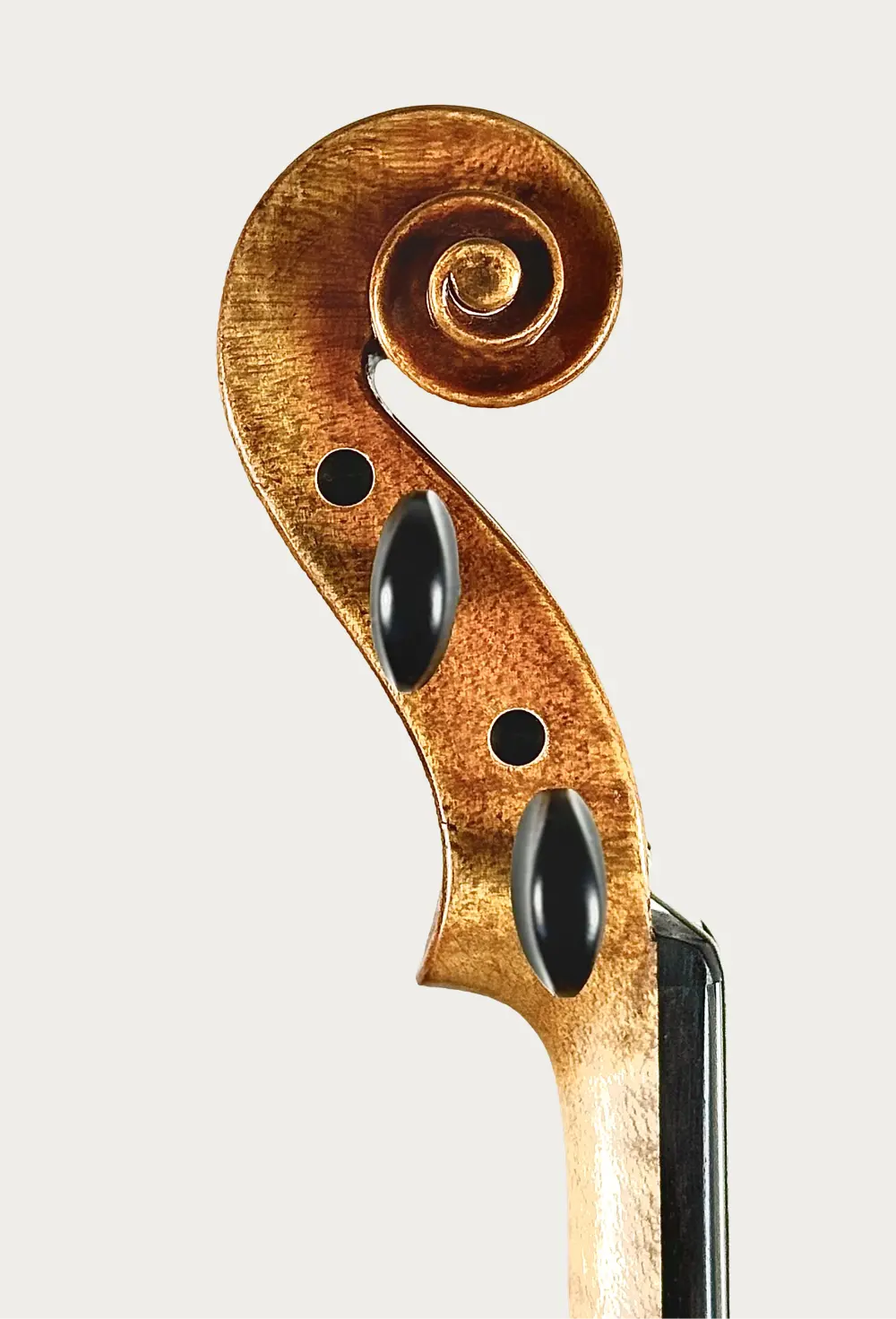 Location/Vente : Violons Sainte Cécile - Qualité étude