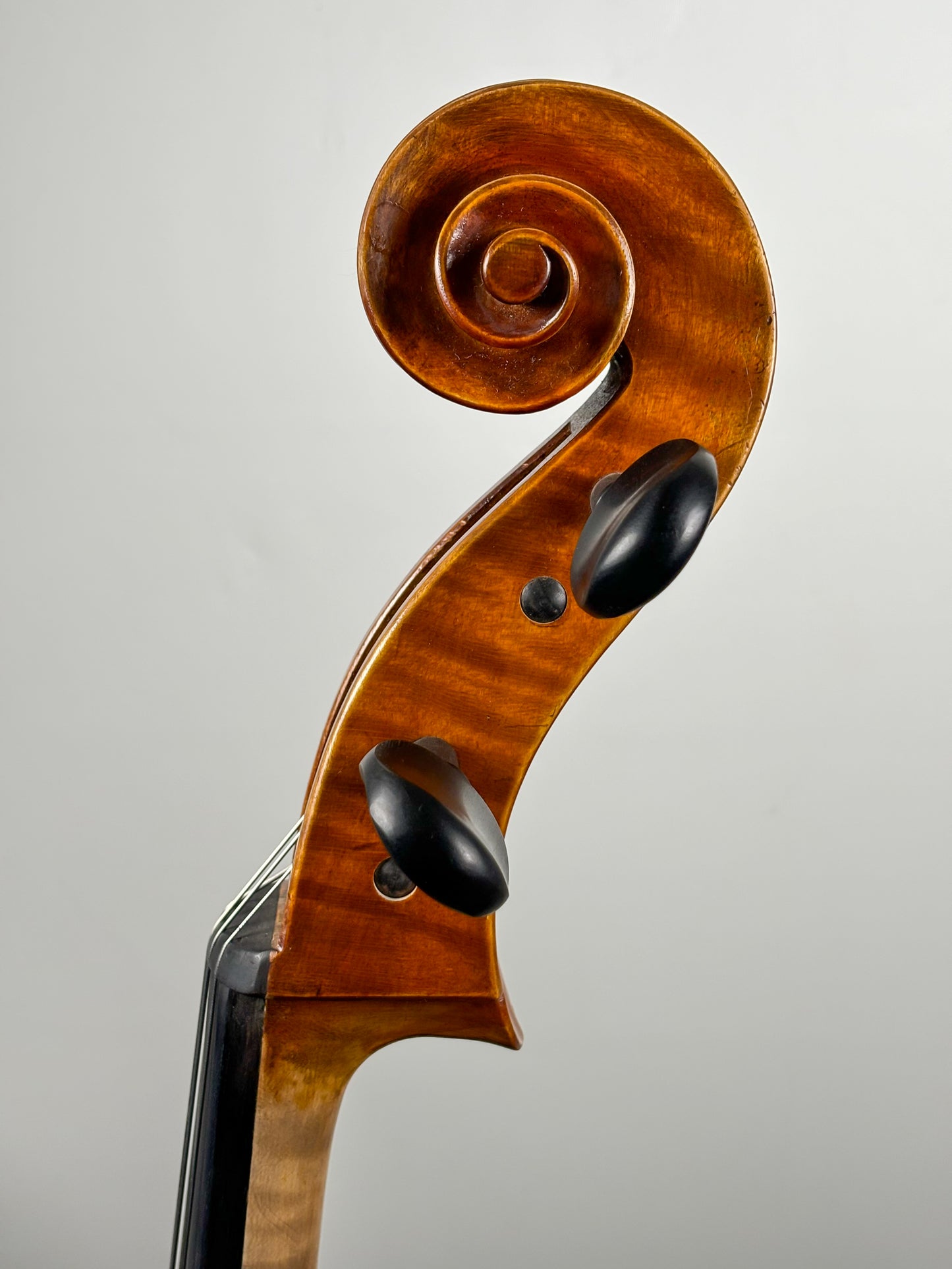 Violoncelles Sainte Cécile - Qualité conservatoire