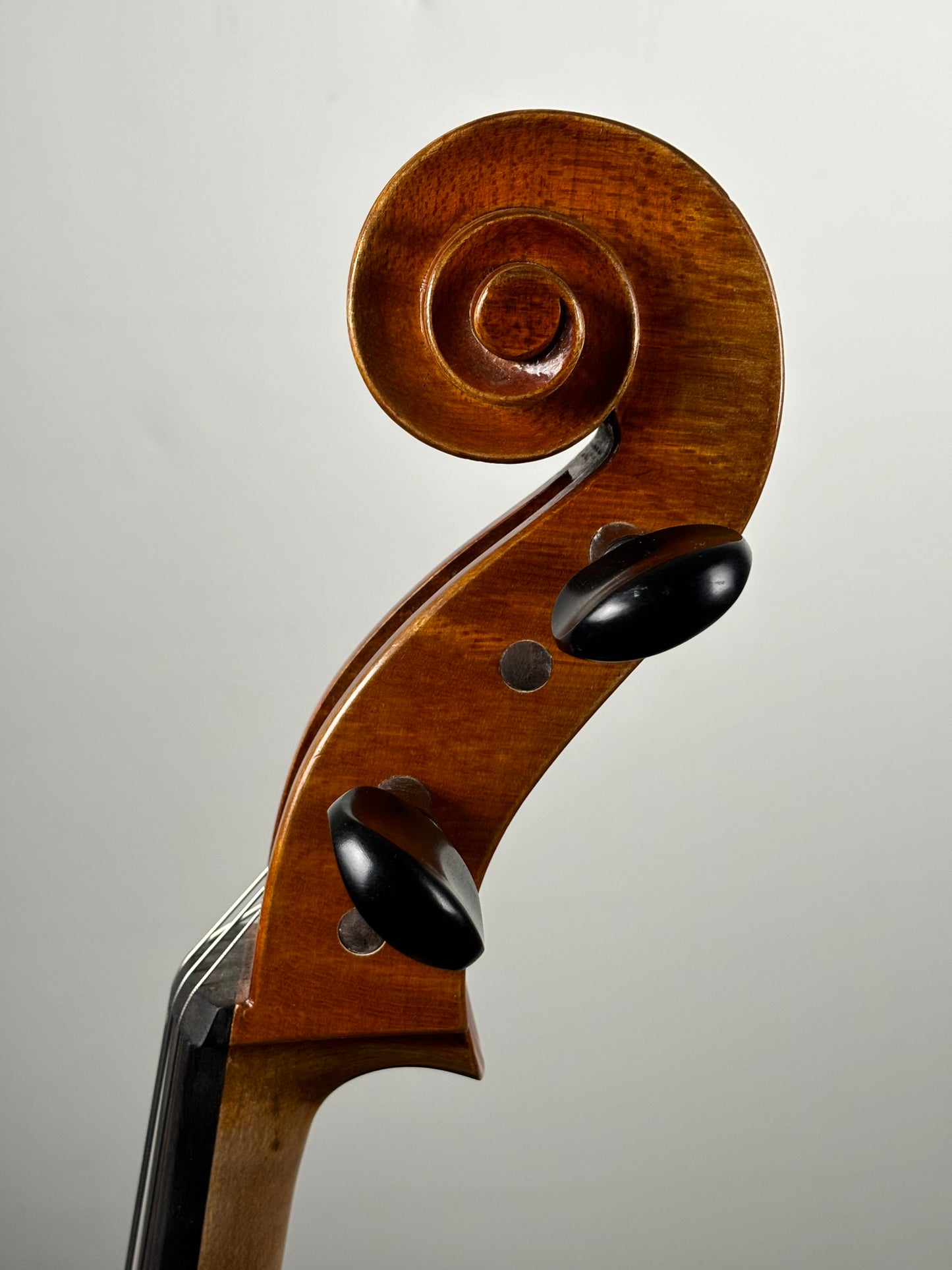 Violoncelles Sainte Cécile - Qualité étude