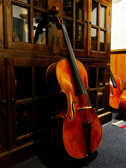 Violoncelles Sainte Cécile - Qualité étude