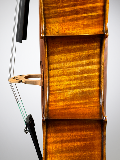 Violoncelles Sainte Cécile - Qualité étude